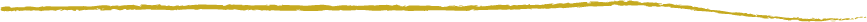 svg divider